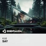 cover: KAII - Say