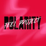 cover: Feel Project - Polarity