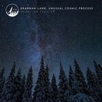 cover: Brannan Lane|Unusual Cosmic Process - Under The Stars