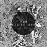 cover: Fcode - Black Rashberry