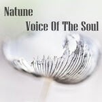 cover: Natune - Voice Of The Soul