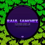 cover: Raul Sanchez (Chile) - Loop No 5