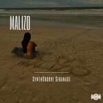 cover: Malizo - Synthgroove Seranade