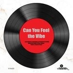 cover: Various - Can You Feel The Vibe