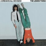 cover: The Lemon Twigs - A Dream Is All We Know