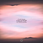 cover: Curio Tones - Cloud Nine