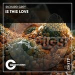 cover: Richard Grey - Is This Love