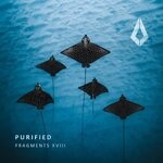 cover: FJ9|Jono Stephenson|Wouter Achterberg - Purified Fragments XVIII