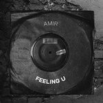 cover: Amir - Feeling U