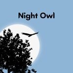 cover: Ikpa - Night Owl