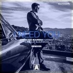 cover: Armin van Buuren|Fernando Garibay|Olaf Blackwood - I Need You (Remixes)