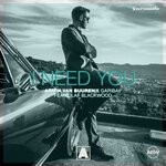 cover: Armin van Buuren|Fernando Garibay|Olaf Blackwood - I Need You