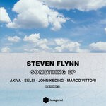 cover: Steven Flynn - Something