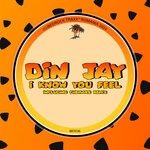 cover: Din Jay - I Know You Feel