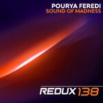 cover: Pourya Feredi - Sound Of Madness