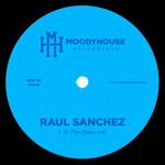 cover: Raul Sanchez (Chile) - In The Disco