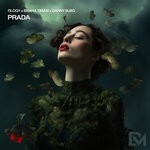 cover: Briana Timari|Danny Burg|Filogy - Prada