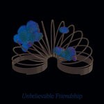 cover: Filip Misek - Unbelievable Friendship