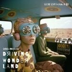 cover: Einklang Musik - Driving Wonderland