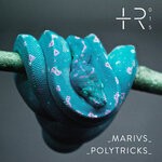 cover: MARIVS - Polytricks