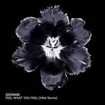 cover: Giovani - Feel What You Feel (VNA Remix)