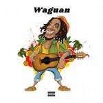 cover: VGC - Waguan