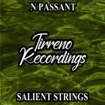 cover: N Passant - Salient Strings