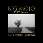 cover: Big Mojo - Back Where I Belong (THC Remix)