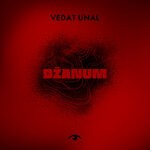 cover: Vedat Unal - Dzanum