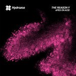 cover: The Reason Y - Apes On Acid