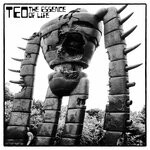 cover: Teo - The Essence Of Life