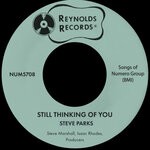 cover: Steve Parks - Still Thinking Of You