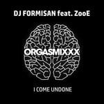 cover: DJ Formisan|ZooE - I Come Undone