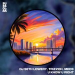 cover: Meds (USA)|Trizzoh|DJ Seth Lowery - U Know U Right