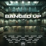 cover: Various - Banged Up LP