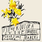 cover: Darryl Baalki - Flower Out Of A Stone EP