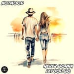 cover: Hotmood - Never Gonna Let You Go