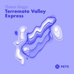 cover: Theus Mago - Terremoto Valley Express EP