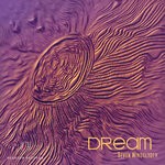 cover: Bevon WindGlyder - Dream