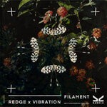 cover: Redge|Vibration - Filament