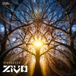 cover: Zivo - Ayahuasca