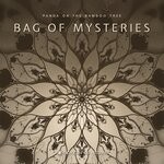 cover: Panda On The Bamboo Tree - Bag Of Mysteries