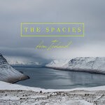 cover: The Spacies - From Iceland