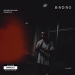 cover: Alande - Binding