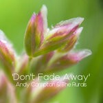 cover: Andy Compton|The Rurals - Don't Fade Away