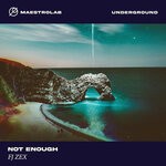 cover: fj zex - Not Enough