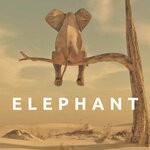 cover: Chipcat - Elephant