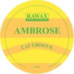 cover: Ambrose - Cat Groove