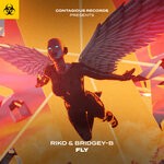 cover: Bridgey-B|Riko - Fly