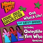 cover: Kathy Brown|Sonic Soul Orchestra - Ooh What A Life (Remixes)